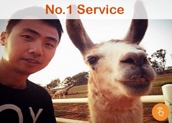 Five professional tour guides will deliver the real Taiwan experience for You!