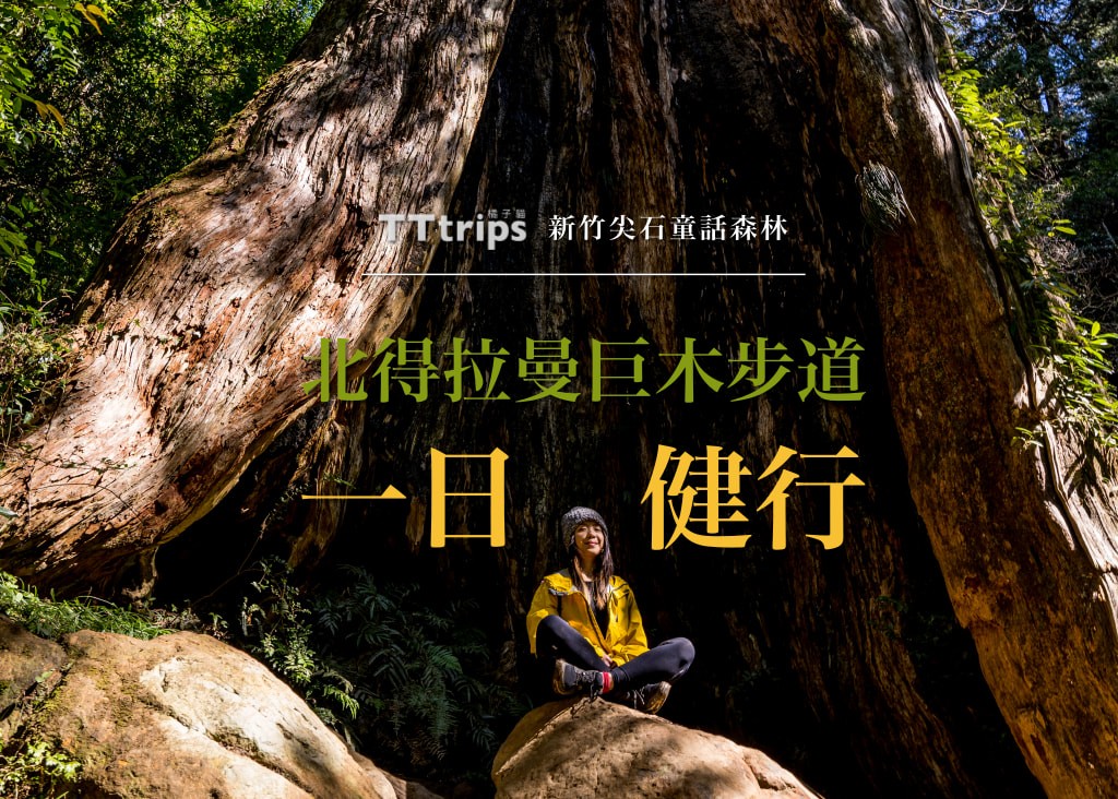 新竹尖石童话森林・北得拉曼巨木步道一日健行