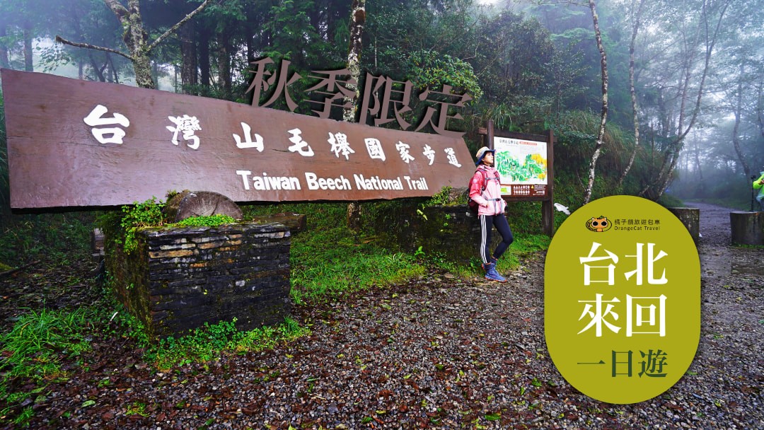 台灣山毛櫸步道一日遊，秋季限定楓紅景！