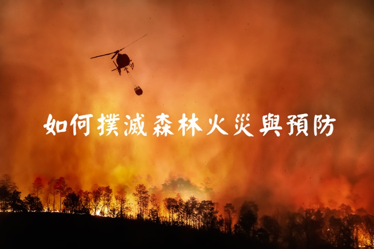 被祝融吞噬的台灣山林－森林惡火怎麼滅？如何預防？