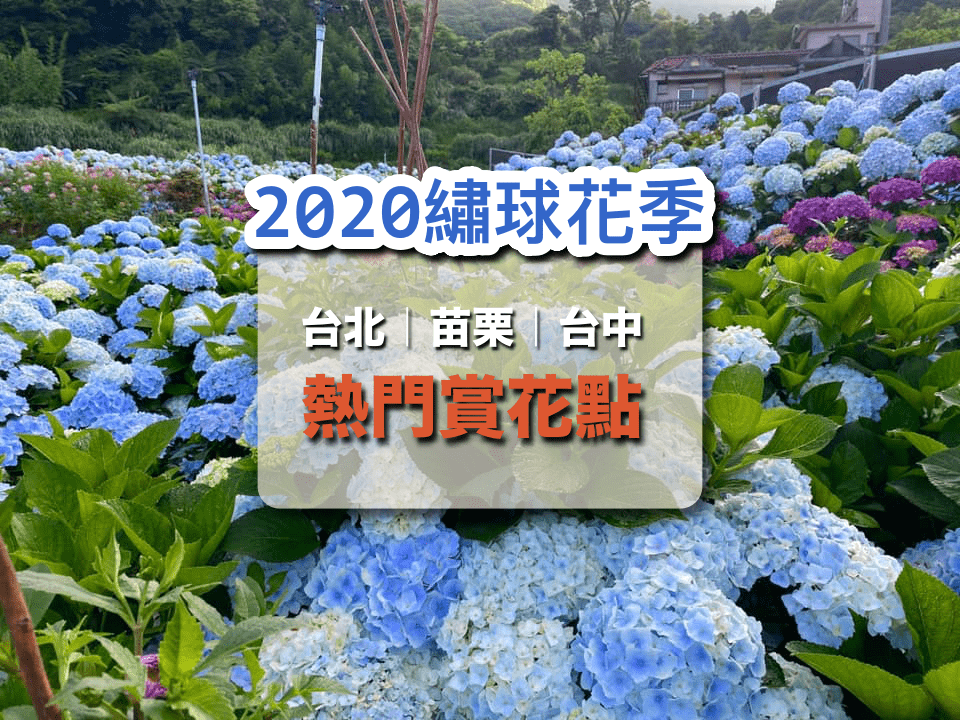2020繡球花季來了｜台北、苗栗、台中最熱門的賞花景點整理！